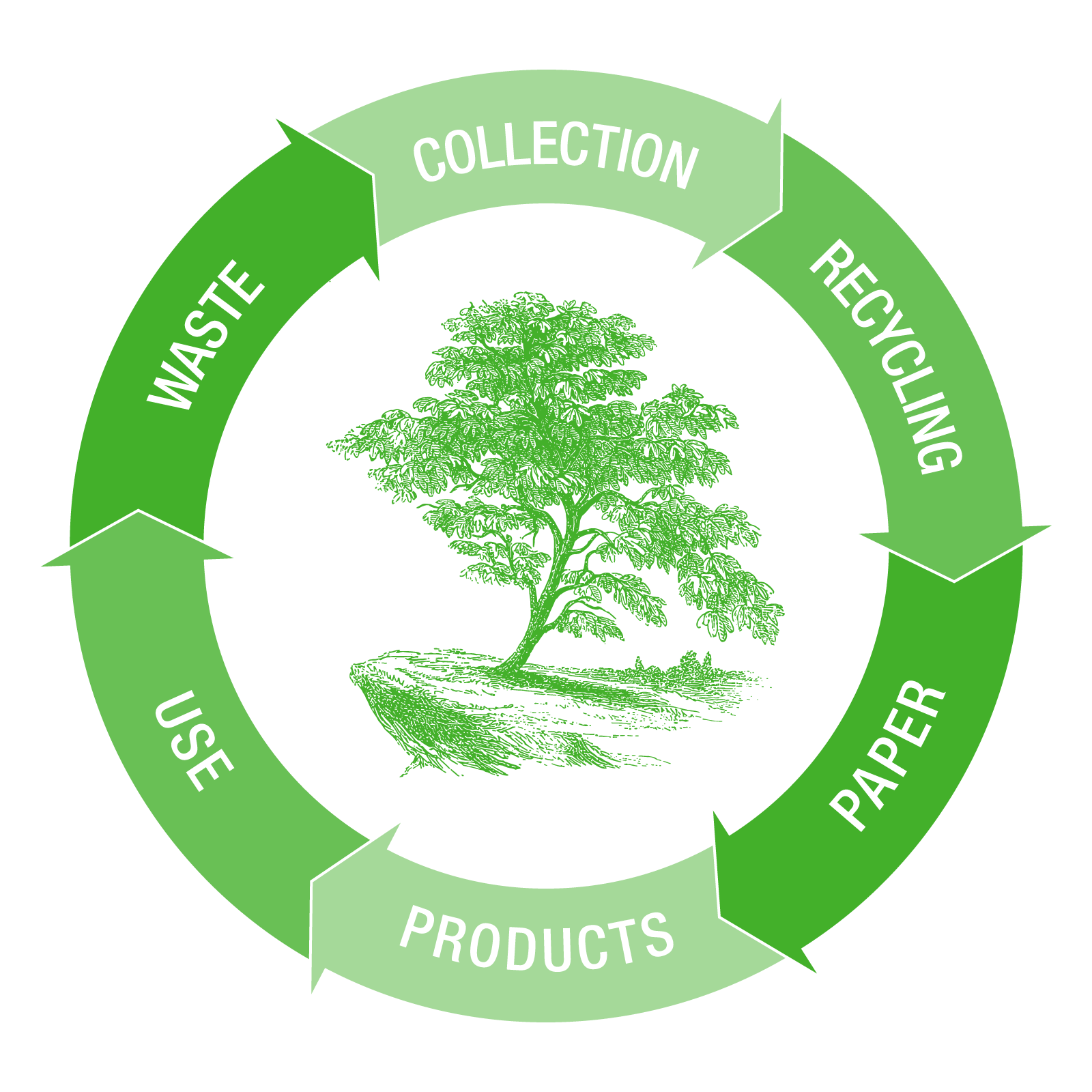 Circular model: collection, recycling, paper, products, use and waste