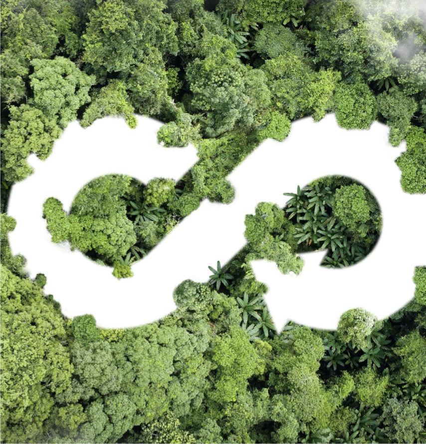 Forest canopy surrounding a circular economy symbol