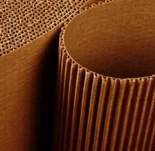 Corrugated Board